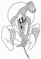 Aranha Espetacular Homem Tudodesenhos sketch template