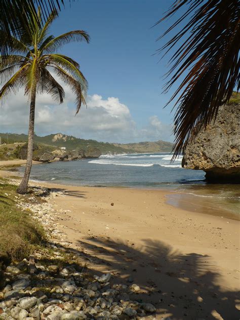 barbados tropical islands paradise beautiful beaches