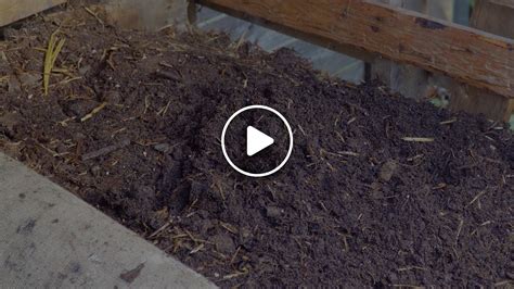 homemade compost  mulch envii