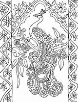 Peacock Coloring Pages Colouring Printable Feathers Color Peacocks Adult Feather Patterns Adults Bing Advanced sketch template