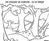 Desenhos Floresta Colorir Natureza Bosque Março Rios Paisagens sketch template