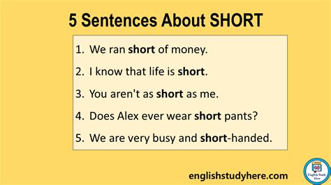 sentences  short english study