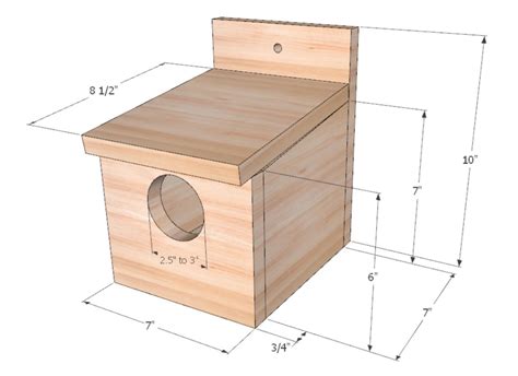 build  nest box  robins  scrap timber dengarden