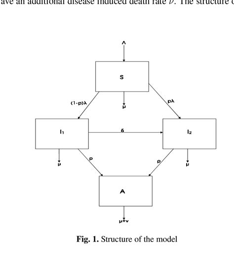 structure   model  scientific diagram