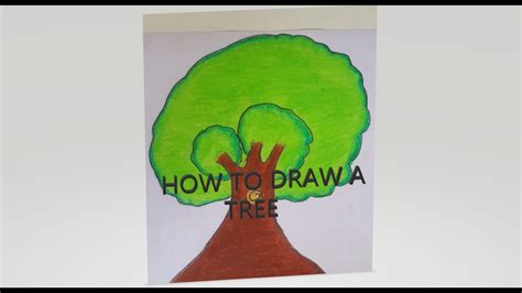 draw  tree simple  easy kids drawing youtube