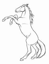 Horse Rearing Coloring Pages Drawing Outline Realistic sketch template