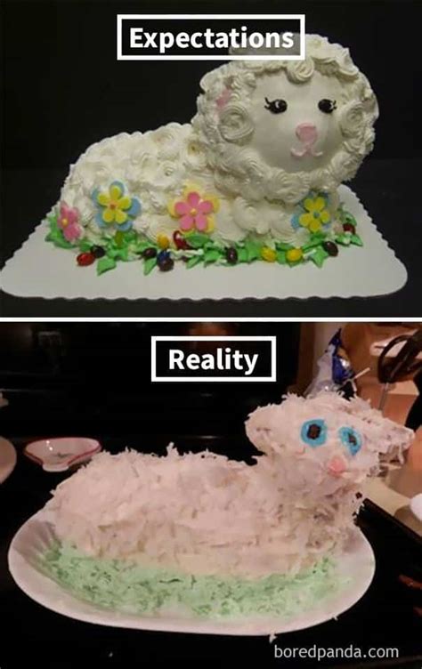 worst   disastrous cake fails