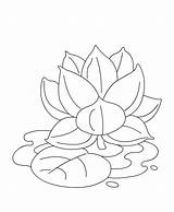 Lotus Water Flower Coloring sketch template