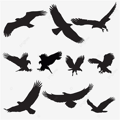 bald eagle flying silhouette png  eagle silhouette flying bird