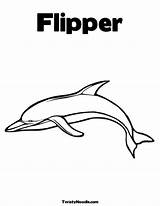 Coloring Flippers Swim Template Flipper sketch template
