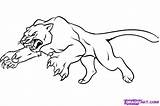 Panther Drawing Draw Animal Coloring Pages Step Panthers Pantera Cat Dragoart Drawings Super sketch template