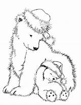 Coloring Bear Christmas Polar Pages Bears Printable Animal Adult Stamps Choose Board Binged Digi sketch template