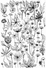 Flower Doodle Coloring Blumenmuster Printable Flowers Pages Doodles Fun Meinlilapark Zeichnen Blumen Zum Vorlagen Einfach Ausmalen Background Von Malvorlagen Printables sketch template