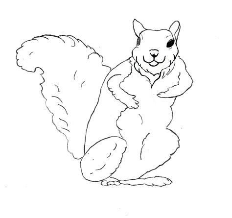 squirrel coloring pages  kids coloring pages
