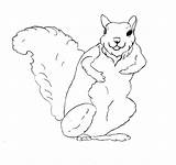 Squirrel Coloring Pages Printable Kids Print Flying Preschool Monkey Library Clipart Popular Fox sketch template