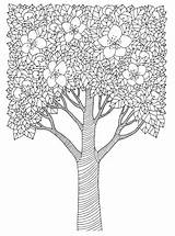 Coloring Doodle Tree Flowers Spring Doodles Flower Advanced Nature Pages Trees Kidspressmagazine Elements Adults Blossom Mantra Forest sketch template