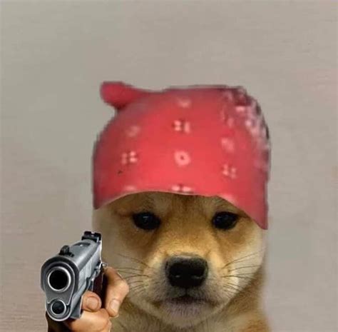 pin  venox   dog  hat cute animal  dog icon dog images