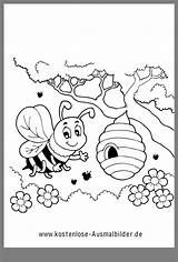 Biene Ausmalbild Ausmalen Steckbrief Apiculteur Bienen Bijen Bumblebee Grundschule Basteln Kostenlose Vorschule Abeille sketch template