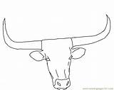 Cow Coloring Longhorn Pages Texas Head Drawing Printable Steer Cattle Color Face Clipart Bull Outline Cartoon Horns Drawings Long Draw sketch template