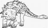 Ankylosaurus Realistic sketch template