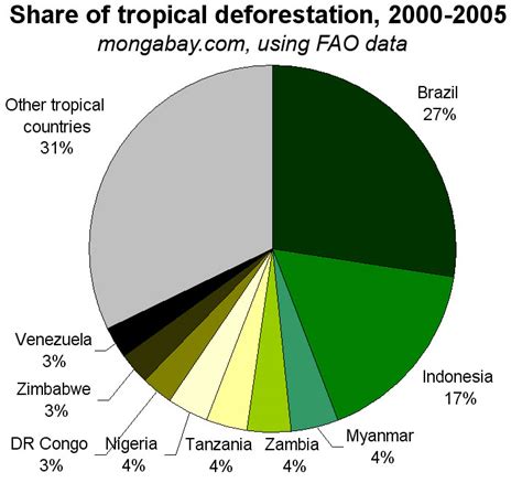 rainforest destruction increasingly driven  corporate interests  poverty