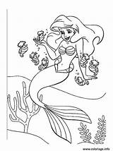 Sirene Arielle Mermaid Colouring sketch template