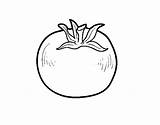 Pomodoro Ecologico Acolore Stampare sketch template