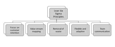 5 key lean six sigma principles explained invensis learning