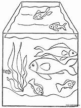Aquarium Coloring Pages Fish Printable Getdrawings Drawing Color Recommended sketch template