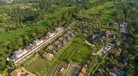 jasa pembuatan website desa hub wa     jasa pembuatan