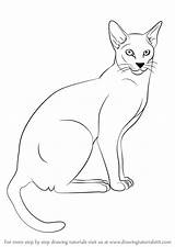 Cat Siamese Drawing Draw Step Cats Tutorial Drawings Learn Animals Paintingvalley Getdrawings sketch template
