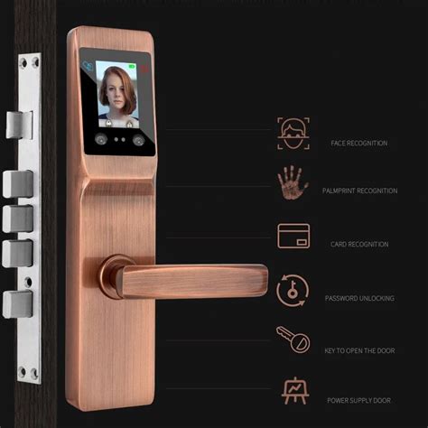 Smart Biometric Face Recognition Palm Unlock Door Lock Security Digital