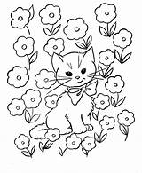Number Cat Color Coloring Pages Popular sketch template