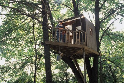 fun kids tree houses picture ideas  examples