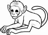 Coloring Pages Baby Getdrawings Monkeys Monkey Cartoon sketch template
