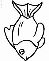 Coloring Goldfish Fish Pages Colouring Clipart Print Cliparts Kids Gold Use Computer Designs Clip Clipartbest Beans Bestcoloringpages Pw sketch template