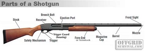 firearm basics basic parts   gun
