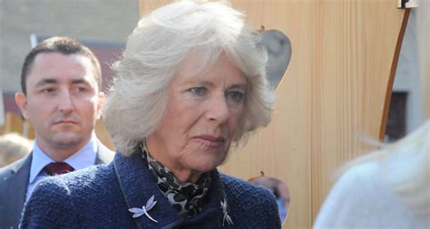 detail  camilla   picture leaves  stunned