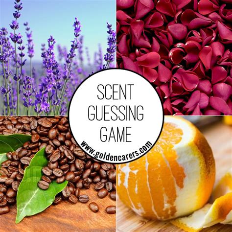 scent guessing