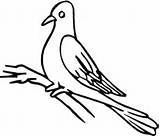 Pigeon Coloring Pages Outline Drawing Clipart Color Pigeons Doves Gif sketch template