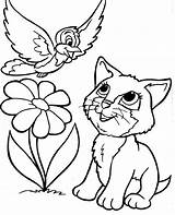 Pages Kitty Kitten Bubakids Mandala Pintar Vogel Ausmalbilder Desde sketch template