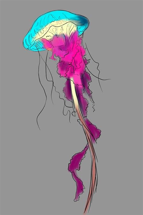 drawing   jellyfish  pink  blue colors   head