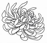 Chrysanthemum Tattoo Drawing Spider Flower Deviantart Coloring Japanese Line Flowers Outline Mum Designs Clipart Draw Tattoos Drawings 500tattoos Cliparts Sketches sketch template