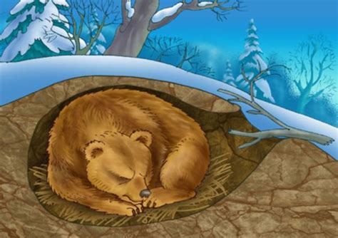 hibernation song sleeping capybara 10 hibernating anima