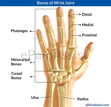 wrist joint fracturetypescausessymptomstreatment medications pt
