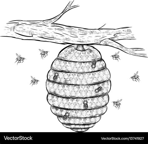 beehive drawing
