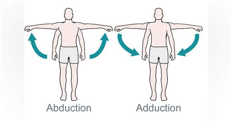 whats  difference  abduction  adduction biomechanics