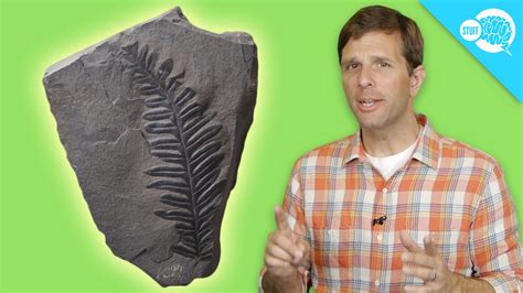How Carbon Dating Works Youtube