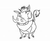 Pumba Coloring Warthog Pumbaa Template Pages sketch template
