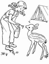Coloring Camping Pages Kids Deer Family Baby Sheets Color Printable Activity Fun Sheet Scout Colour Outdoor Childrens Colouring House Children sketch template
